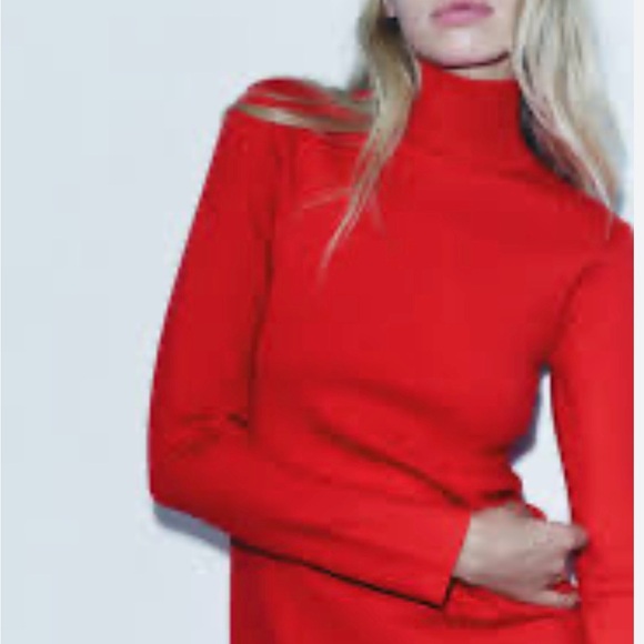 Zara High collar midi dress with long sleeves.. size Medium. - Picture 2 of 9